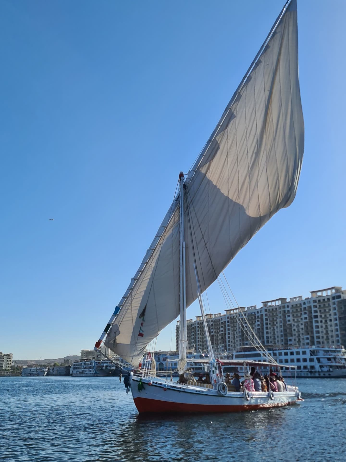 Concerto Plus sailing on the Nile in Egypt