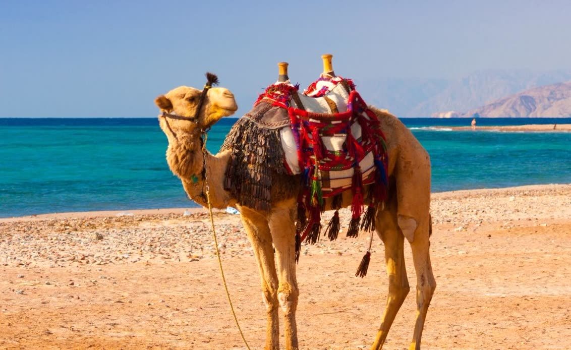 Egypt Trip 10 Days: Cairo, Nile Cruise & Hurghada